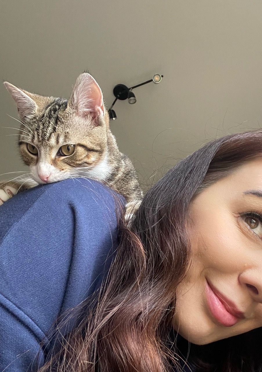 A tabby cat looking over Jess's shoulder